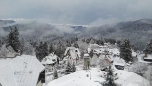 steag romania
