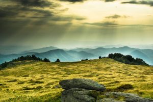 steag romania