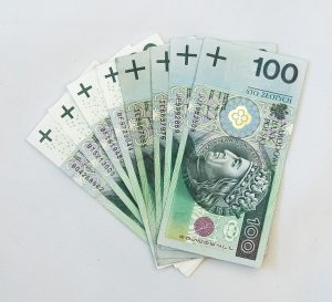cat costa un euro la cumparare