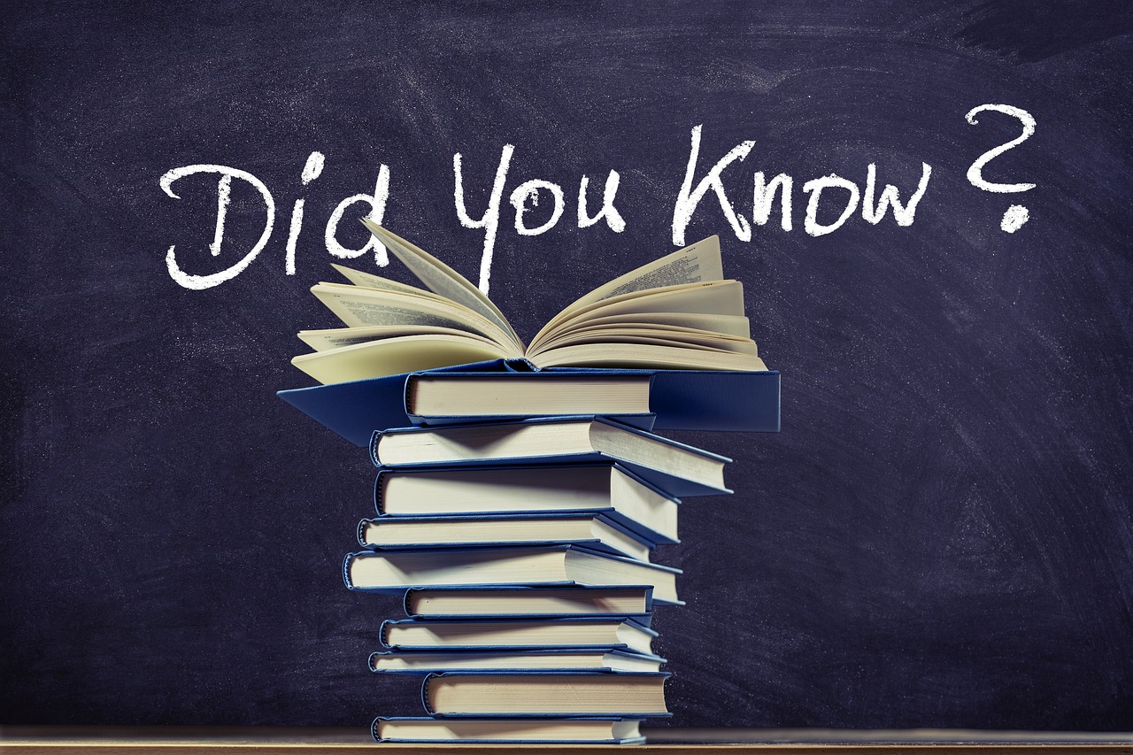 cat costa un ecograf abdominal