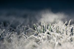 cel mai bun frigider no frost