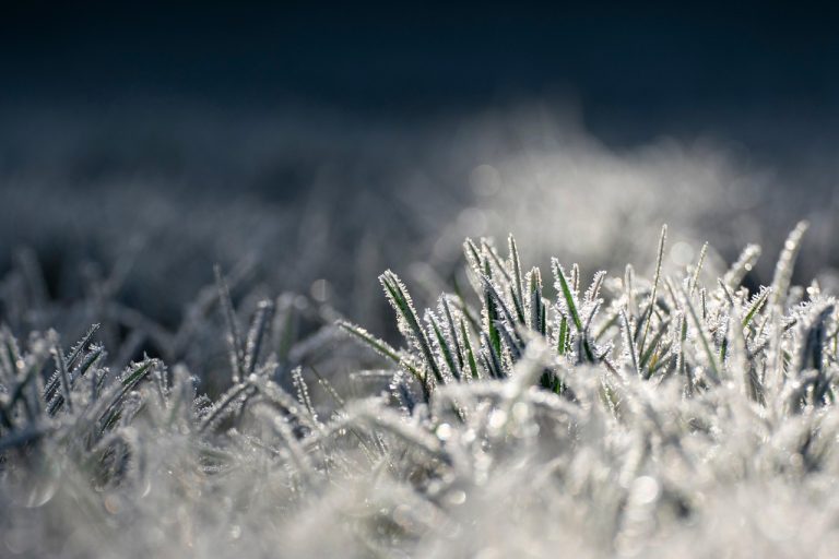 cel mai bun frigider no frost